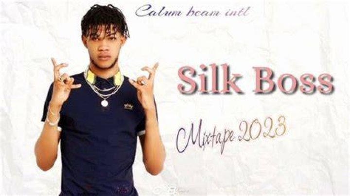 Silk Boss Silk Boss