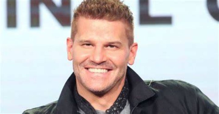 Uncover The Untold Secrets Behind David Boreanaz: Age, Wife, And More